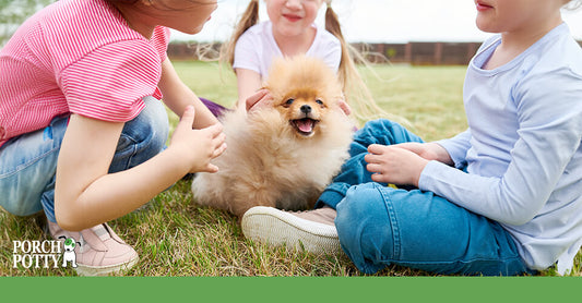 Three children sitting on the grass, petting a small, fluffy dog that looks happy and playful. The Porch Potty logo is displayed.