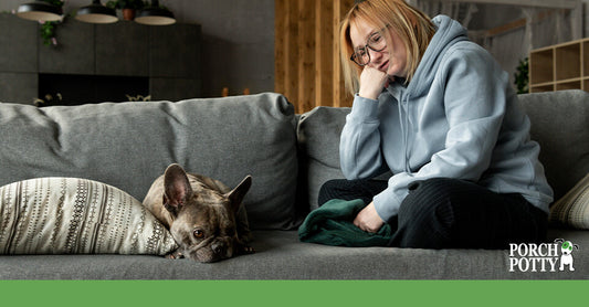 A woman sitting on the couch looking at her French Bulldog lying beside her.