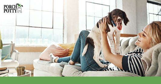 A woman lies on the couch, smiling as she holds up a happy Spaniel puppy, enjoying a playful moment indoors.