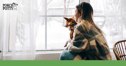 Woman sitting by a window with her dog in her lap, looking out at a snowy landscape.