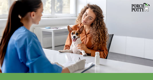 A woman holding her dog during a consultation with a veterinarian in a clinic.