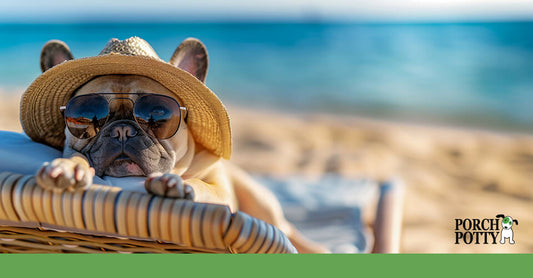 French Bulldog lounging on a beach chair wearing a straw hat and sunglasses.